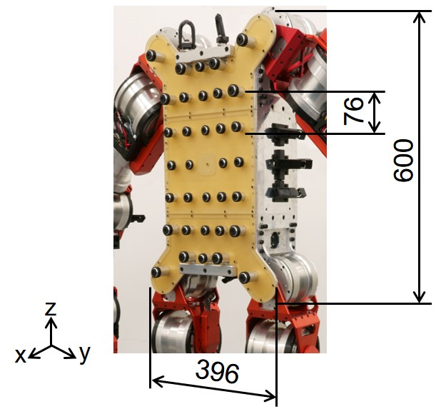 linear spike body picture