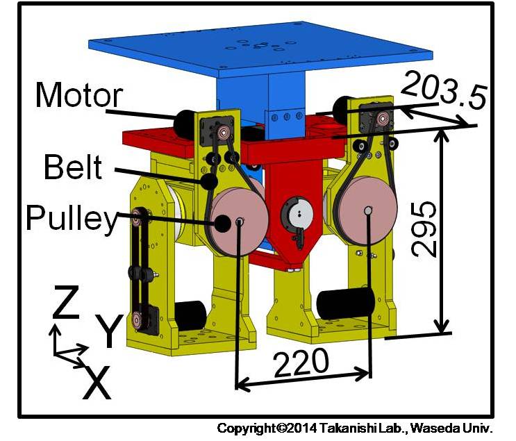 Pelvis CAD