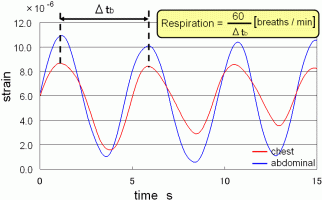 Fig.2.10 respiration