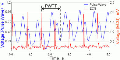 Fig.2.8 PWTT