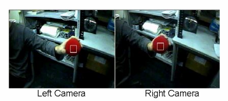 Fig. 10 Visual Sensor